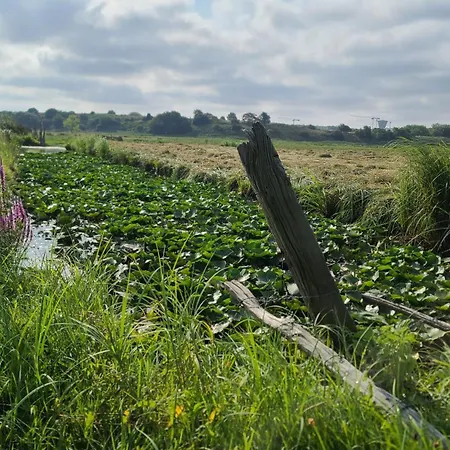 Les Geais Bleus Apartment Royan