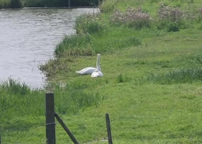 Les Geais Bleus 아파트 *
