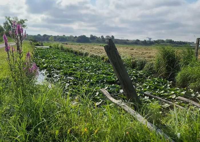 Les Geais Bleus 아파트 로양